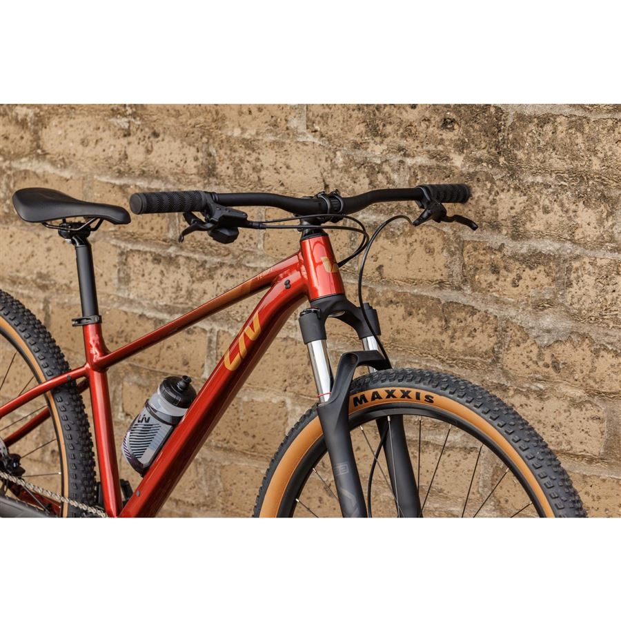 Tempt 29 2 S Mars Dust