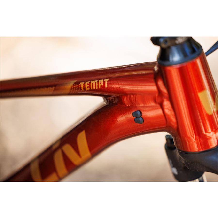 Tempt 29 2 M Mars Dust
