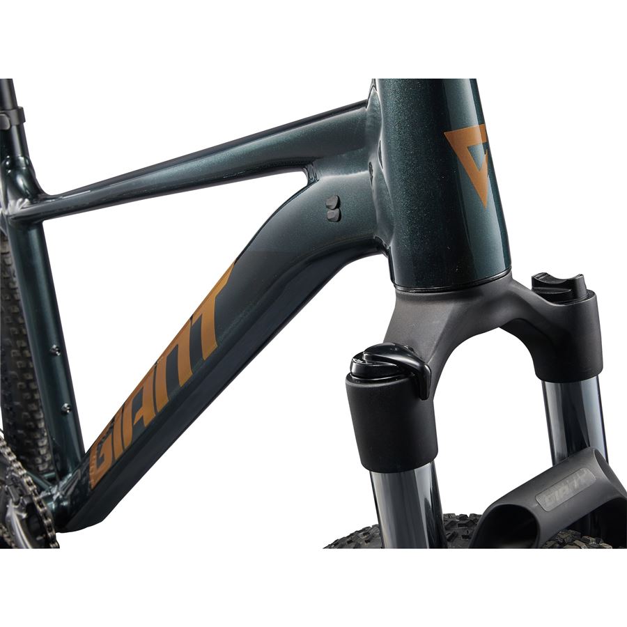 Talon 29 2 M Asphalt Green